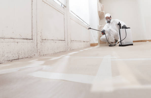 24/7 Emergency Mold Remediation experts in Ellicott City, MD